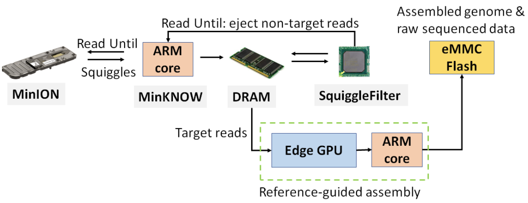 SquiggleFilter: An Accelerator for Portable Virus Detection